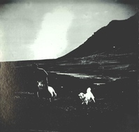 1981_1990\1985.0283bzl.jpg; 1985.0283; ;